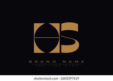 HS initial letter logo design. Letter H and S luxury alphabet letter logo icon template