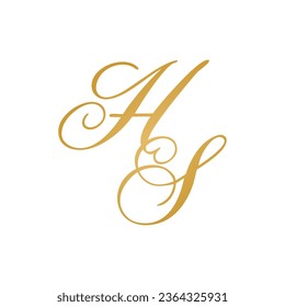 HS initial logo design vector stock