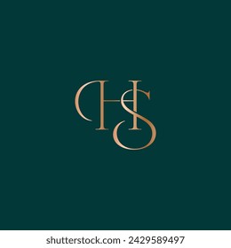 HS logo design. Vector illustration.