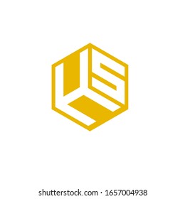HS logo vector modern template