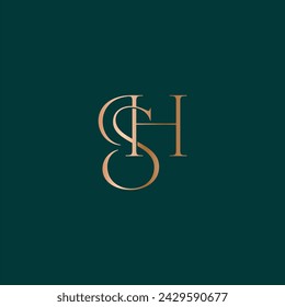 HS SH logo design. Vector illustration.
