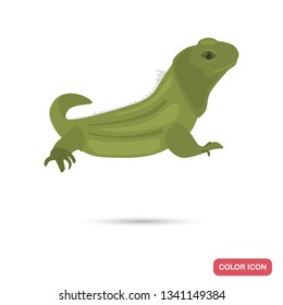 Httery lizard color flat icon for web and mobile design