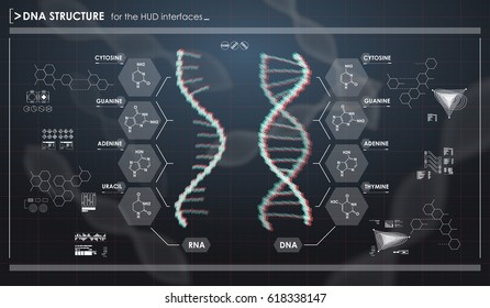 HUD infographic elements with DNA structure. Futuristic user interface. Abstract virtual graphic.