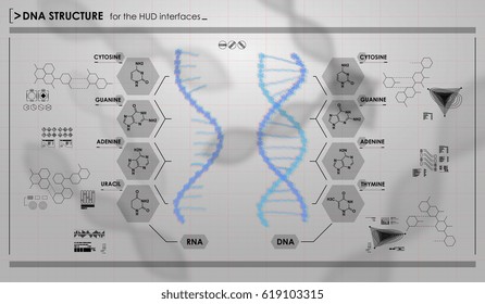 HUD infographic elements with DNA structure. Futuristic user interface. Abstract virtual graphic.
