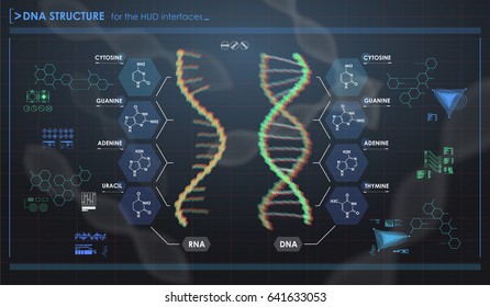 HUD infographic elements with DNA structure. Futuristic user interface. Abstract virtual graphic.