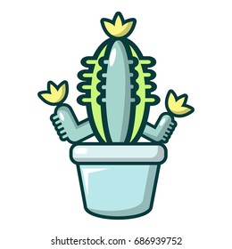 Hug cactus icon. Cartoon illustration of hug cactus vector icon for web design