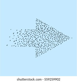 Huge amount of birds forming arrow - vector birds silhouettes isolated