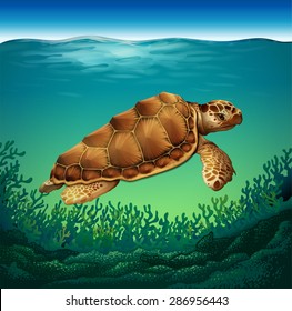 Huge brown turtle swimming in the sea