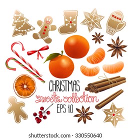 Huge collection of Christmas sweets: gingerbread, mandarins, candies,berries, cinnamon, cardamom. Vector design elements isolated on white background