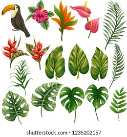 Huge collection of tropical floral elements including flowers, plants and leaves