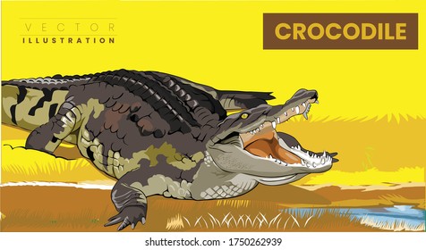 The huge crocodile is basked in the sun in yellow background