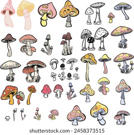huge different mushroom illustrations set