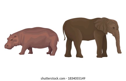 Huge Elephant and Hippo as African Animal Vector Set