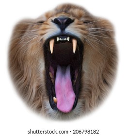 Huge fangs of a lion, isolated on white background. King of beasts, the biggest cat of the world. Amazing vector image in oil painting style. Great for user pic, icon, label, tattoo, emblem, symbol. 