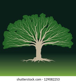 Huge green tree cross-section - detailed vector illustration symbolizing harmony with nature