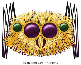 Huge hairy spider - vector