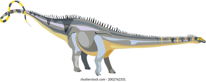 The huge herbivorous dinosaur Diplodocus. Vector illustration