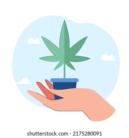 Enorme mano humana sosteniendo la maceta de cannabis. Persona plantando o cultivando marihuana o maleza de ilustración vectorial plana. Botánica, medicina, concepto de drogas para banner, diseño de sitio web o página web de aterrizaje