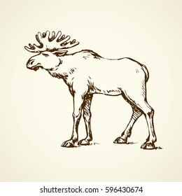 Huge northern alces wapiti stand on white backdrop. Freehand linear dark ink hand drawn picture logo sketchy in art scribble retro style pen on paper. Closeup side view with space for text on sky