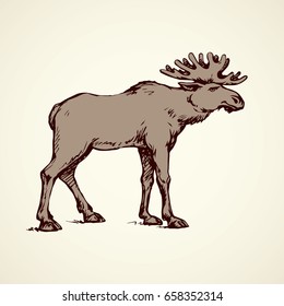 Huge northern alces wapiti stand on white backdrop. Freehand linear dark ink hand drawn picture logo sketchy in art scribble retro style pen on paper. Closeup side view with space for text on sky