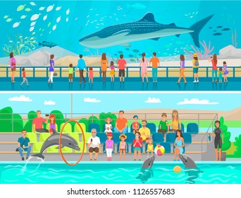 Huge oceanic aquarium and dolphinarium sketch. Whale and sea and ocean fish swimming among seaweed, dolphins performing for public vector illustration