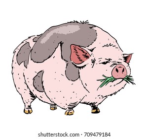 Huge pig hand drawn image. Original colorful artwork, comic childish style drawing.