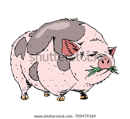 Huge pig hand drawn image. Original colorful artwork, comic childish style drawing.