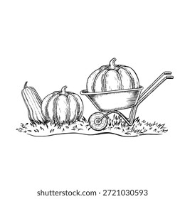 Una enorme calabaza cargada en una carretilla. Gráficos de Vector. Ilustración dibujada a mano en blanco y negro. Cosechando calabazas. Para concursos de verduras, festivales de cosecha, Anuncios, carteles y etiquetas.