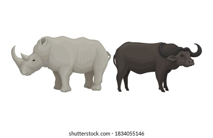 Huge Rhino and Buffalo as African Animal Vector Set