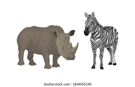 Huge Rhino and Striped Zebra as African Animal Vector Set