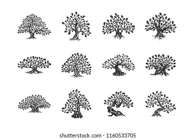 Huge and sacred oak tree plant silhouette logo isolated on white background set. Modern vector national tradition badge sign design. Premium quality natural organic logotype emblem illustration.