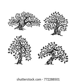 Huge and sacred oak tree silhouette logo isolated on white background. Modern vector national tradition green plant icon sign design set. Premium quality organic bonsai logotype flat illustration.