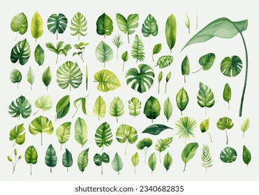 Huge set of green tropical plants watercolor