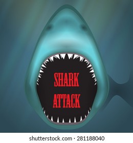 Huge shark attack vector poster