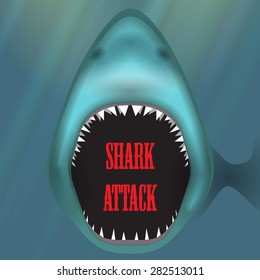 Huge shark attack vector poster