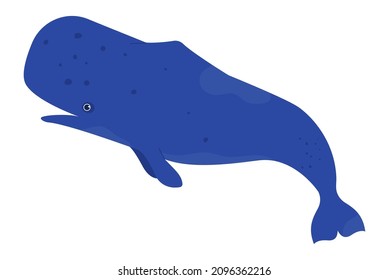 Huge sperm whale swim in sea isolated on white. Vector sperm whale and humpback, aquatic mammal illustration