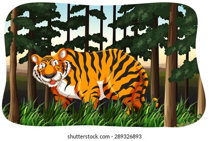 Huge tiger standing in the jungle