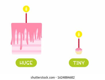 Huge And Tiny Antonyms Word Card Flat Vector Template. Flashcard For English Language Learning. Big And Small Opposites Concept. Festive Cake And Cupcake With Candle Illustration With Typography