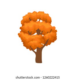 Huge tree with many branches and bright orange leaves. Element of forest, park or garden. Nature theme. Flat vector icon