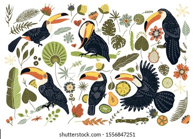 Huge Vector Clip Art Hand Drawn Toucan Bird Collection In A Flat Style. Black Tropical Animal Nature Set With Palm Floral Elements And Fruits. Hawaii Wildlife Set.