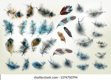 Huge vector collection of realsitic fashion feathers for design