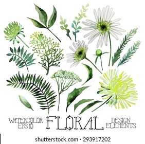 Huge watercolor green floral collection isolated on white background