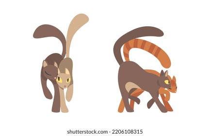 Hugging cats set. Couples of adorable pet animals cartoon vector illustration