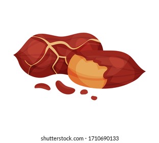 Hulled Peanut Kernel Isolated on White Background Vector Illustration