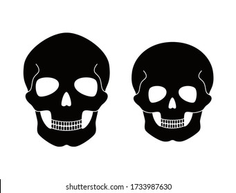 Human adult and child skull anatomy. Flat vector medical illustration isolated. Structure of facial skeleton. Cranium diagram in anterior front view. Educational, science poster. .