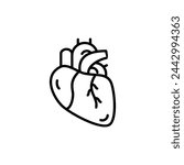 Human anatomical heart thin line icon. Modern vector illustration of human organ.