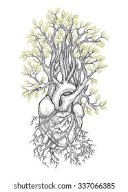 Human anatomical heart with veins like roots, from which grows a tree with leaves as a symbol of life and health. Dotwork style