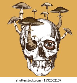 Human anatomical skull with growing mushrooms.Hand-drawn vector illustration for your gothic design logo.