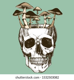 Human anatomical skull with growing mushrooms.Hand-drawn vector illustration for your gothic design logo.