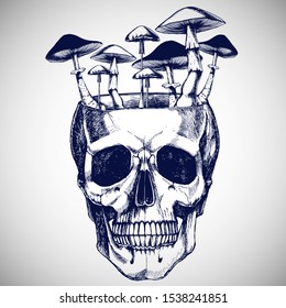 Human anatomical skull with growing mushrooms.Hand-drawn vector illustration for your gothic design logo.